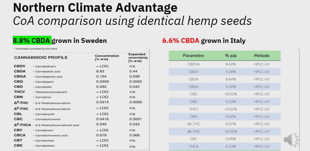 Hur läser man ett COA (analyscertifikat) för CBD?