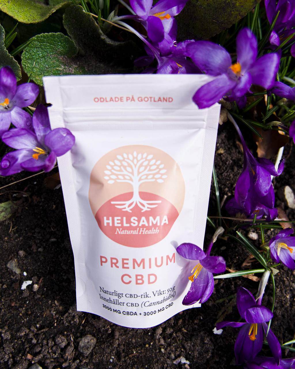 Helsama Premium CBD — hampablompulver (CBDA-pulver) i påse