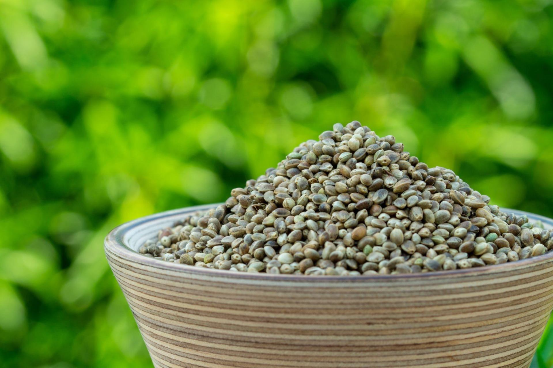 Hur mycket protein innehåller hampa? 25–31 g per 100 g