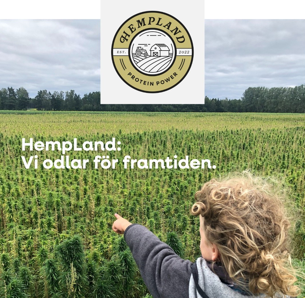 Så använder du hampafrön